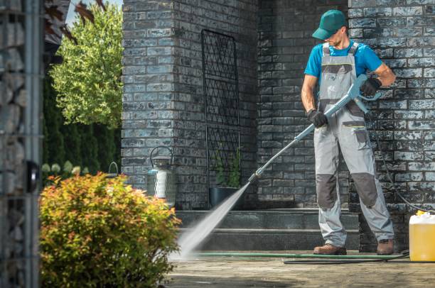 Best Sidewalk and Walkway Cleaning  in Steelevle, IL