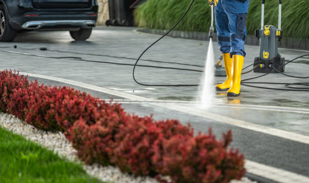 Best Roof Washing  in Steelevle, IL
