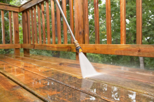 Best Sign and Awning Cleaning  in Steelevle, IL