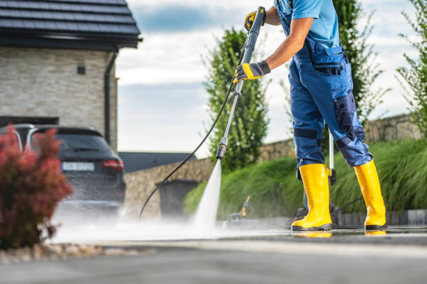 Best Dumpster Area Cleaning  in Steelevle, IL